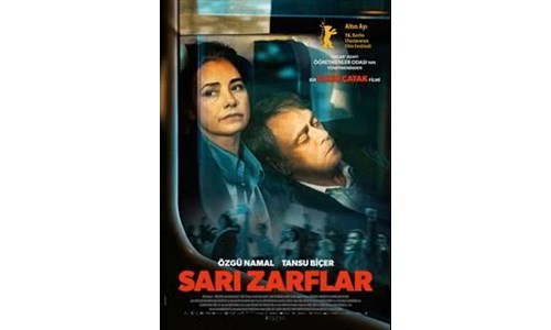 SARI ZARFLAR